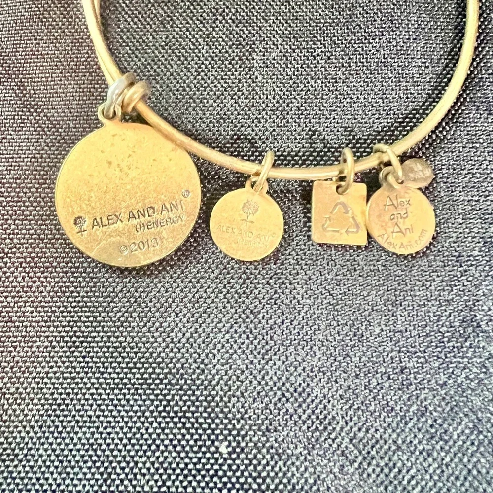 Alex‎ & Ani Expandable Charm Bangles Lot Of 3 Mixed Metals Wear Patina Stack